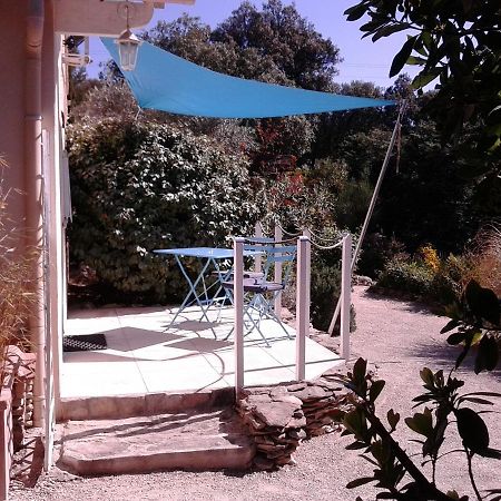 Les Florides Διαμέρισμα LʼIsle-sur-la-Sorgue Εξωτερικό φωτογραφία