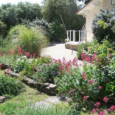 Les Florides Διαμέρισμα LʼIsle-sur-la-Sorgue Εξωτερικό φωτογραφία